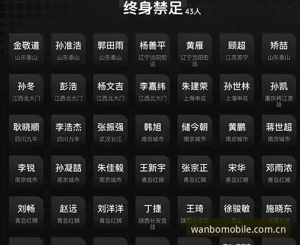 中国足协禁足名单实用解读：65人受罚背后的行业警示与观赛指南