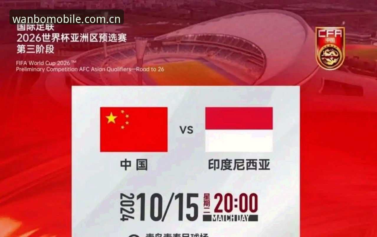 世界杯观赛危机深度解析——签证困局如何影响全球球迷体验
